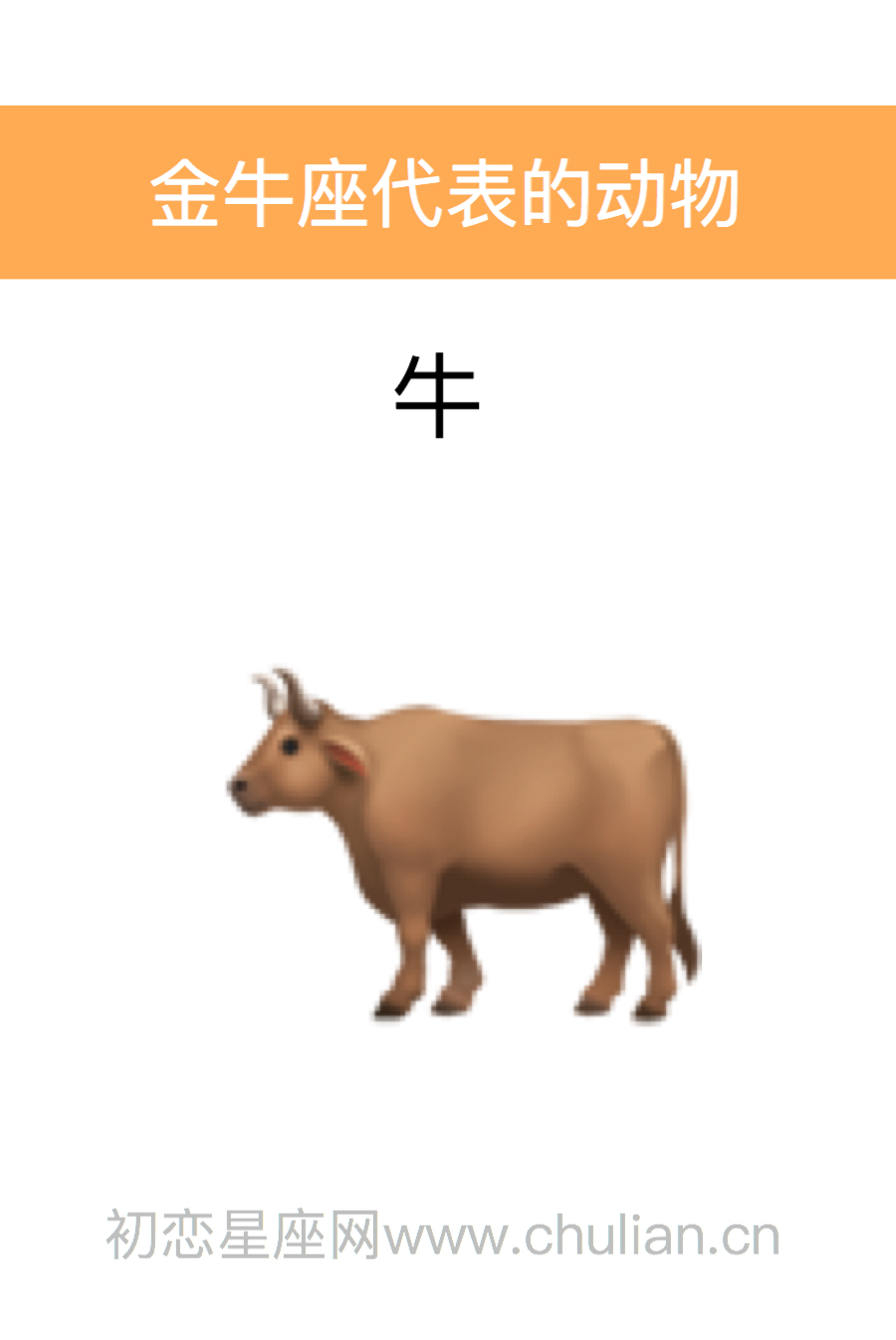 金牛座是什么动物