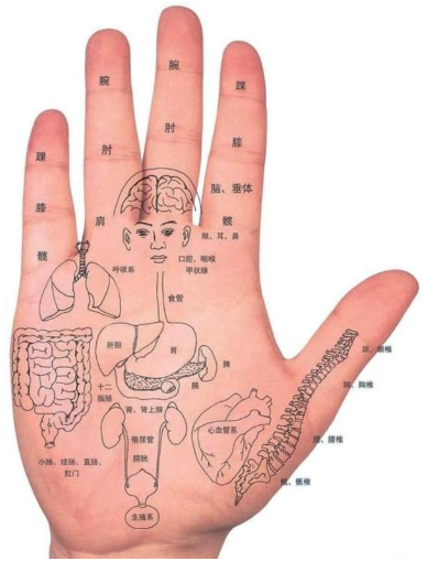 手型算命：你是什么手型