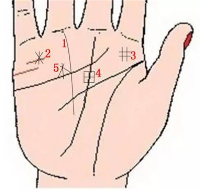 9种手纹的女人命好图 象征财富的9种手纹