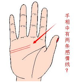 手掌上有两条感情线比较直，而且平行的感情线