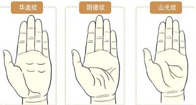 最全最罕见的手相掌纹图解！