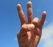 个性五指山——手的指节和指关节