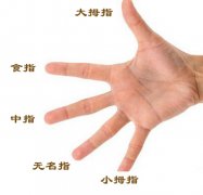 如何从手指看出一个人的性格