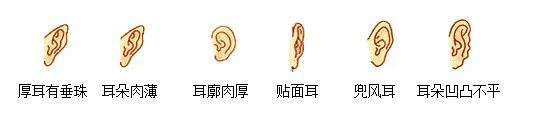 面相大占卜(5)：耳朵