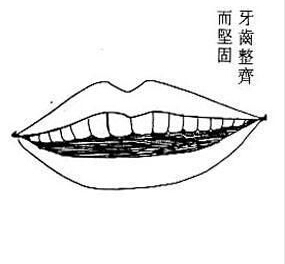 面相大占卜(10)：牙齿