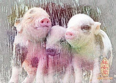 梦见猪洗澡
