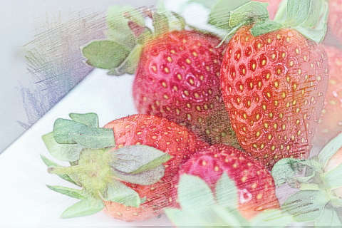 草莓意思