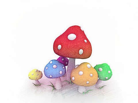 五彩蘑菇