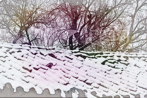 屋顶有雪