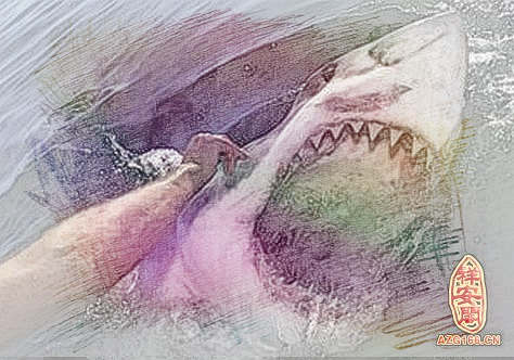梦见鲨鱼追人