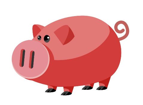 2017年10月生肖猪运势分析