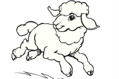 生肖是羊的人什么时辰出生最好
