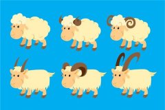 属羊的人哪天出生最好命？