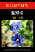 6月2日生日花：蓝繁缕