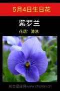 5月4日生日花：紫萝兰