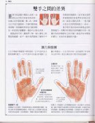 《手相学习百科》：双手之间的差异