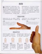 《手相学习百科》：拇指