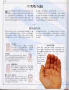 《手相学习百科》：指尖与指节