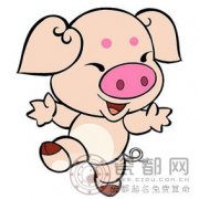 生肖动物百科：猪