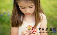 鸡年女孩起名字最受欢迎的汉字集锦