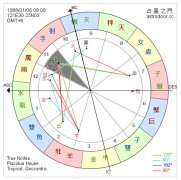 第十一宫在占星学中的意义与详解