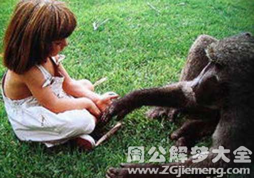 黑猩猩和自己握手