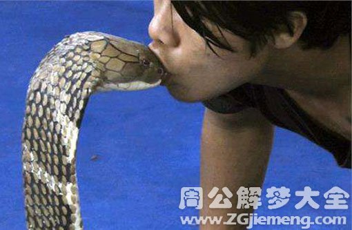 梦见和蛇接吻