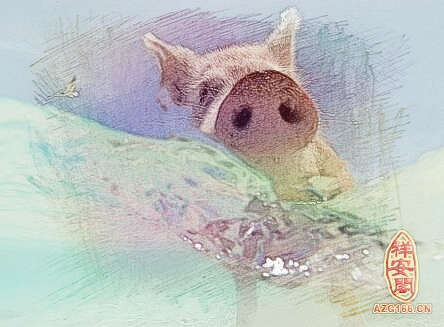 梦见猪在水里