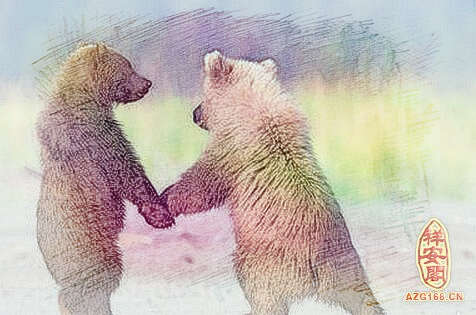 梦见两只熊