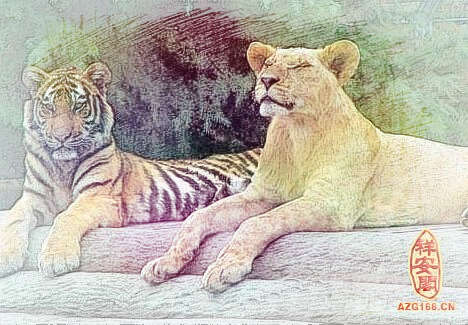 梦见老虎狮子