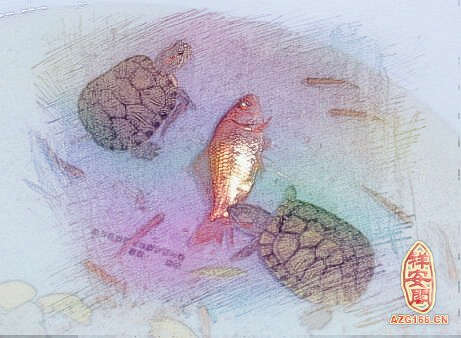 梦见乌龟吃鱼