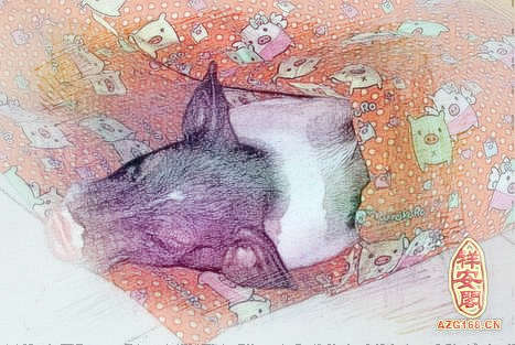 梦见猪睡觉