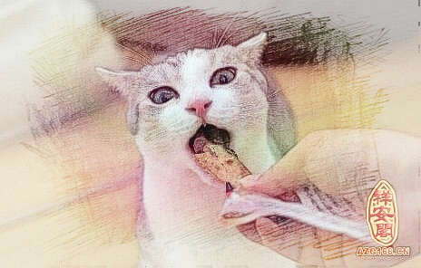 梦见猫吃东西