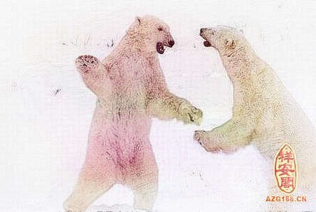梦见和熊打架