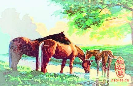 梦见三匹马