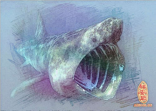 梦见鲨鱼吃自己