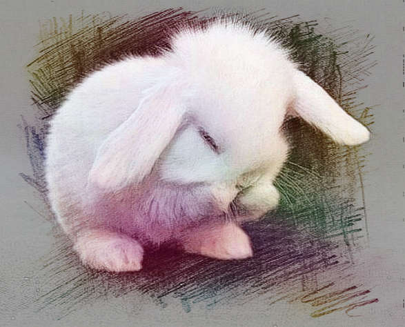 梦见喂白兔