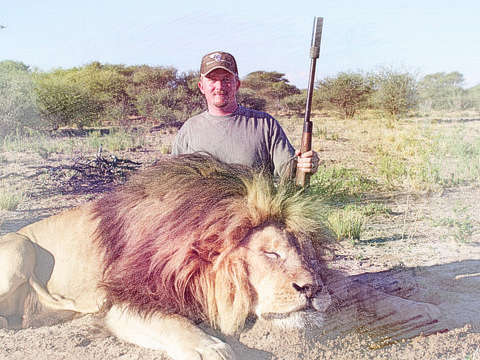狮子被杀