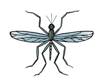 梦到蚊子是什么意思