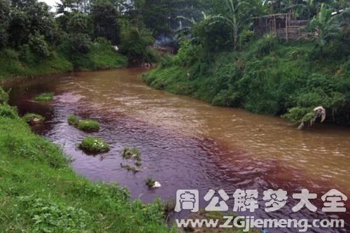 梦见家乡的河被污染