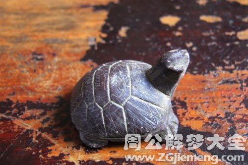 石乌龟