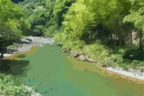 绿色溪水
