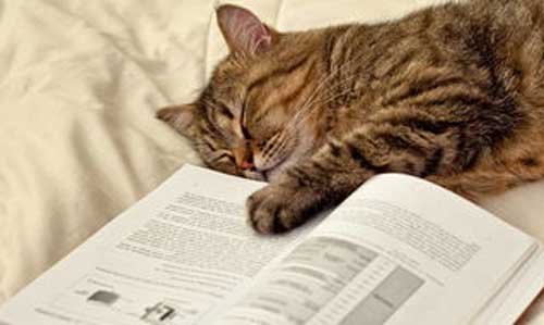 读书瞌睡